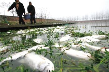 未来十年中国投346.6亿元防治地下水污染王尔德